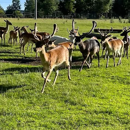 Farma Frantisek Gæstehus Stachy