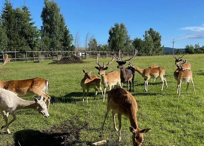 Farma Frantisek Pensión 4*